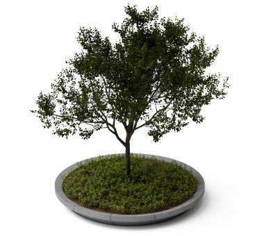 Concrete tree planter K02